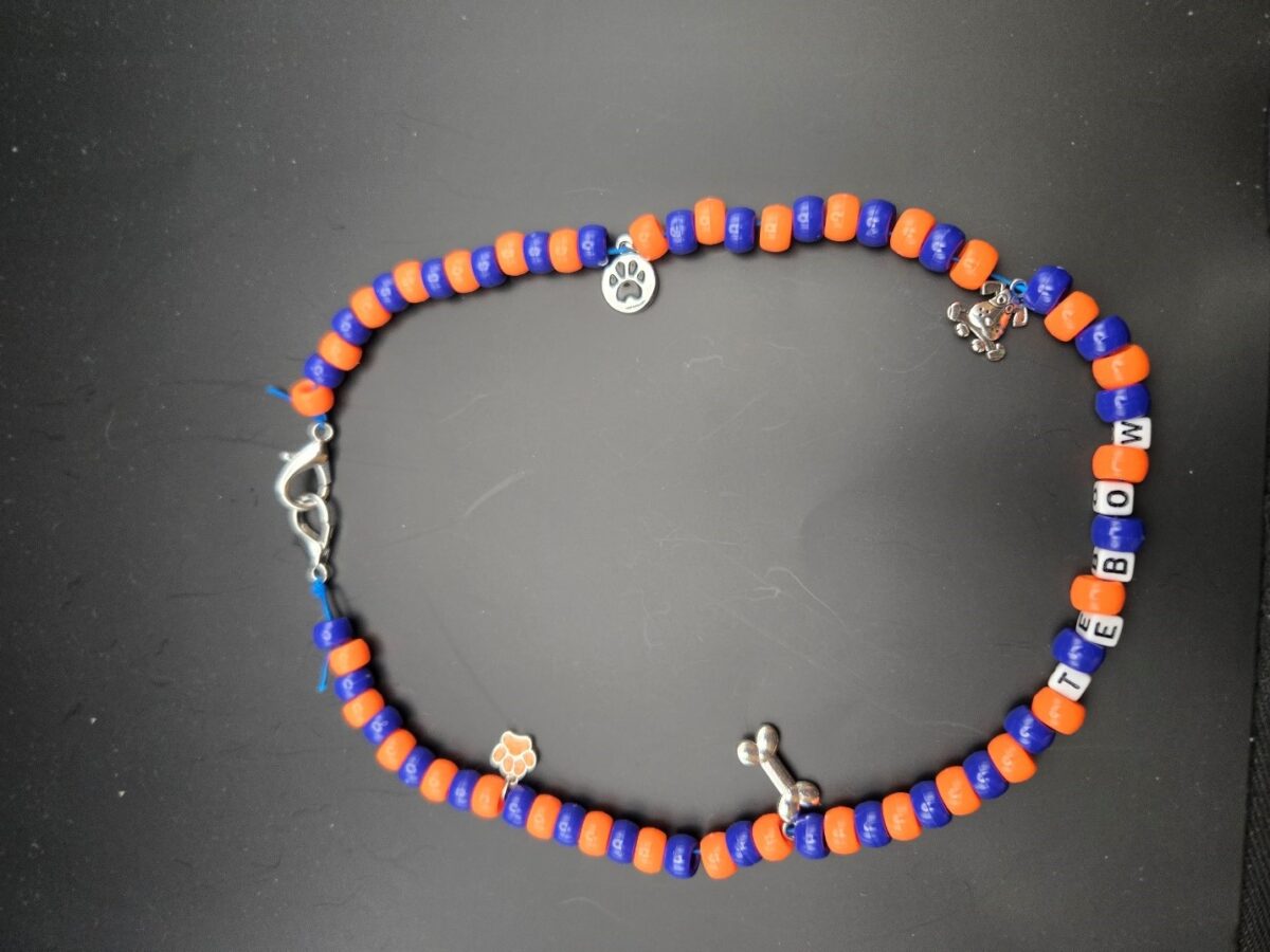 Beaded Pet Collar with Name